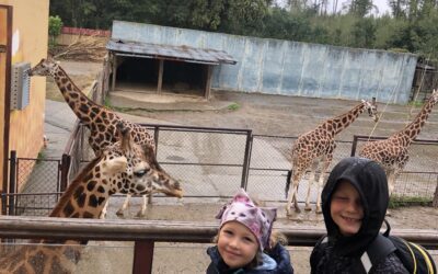 Den zvířátek – ZOO