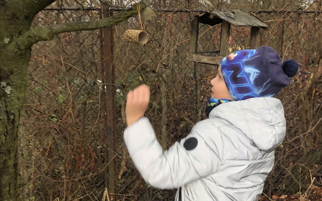 Krmítka pro ptáčky