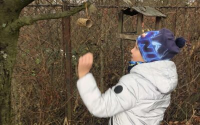 Krmítka pro ptáčky