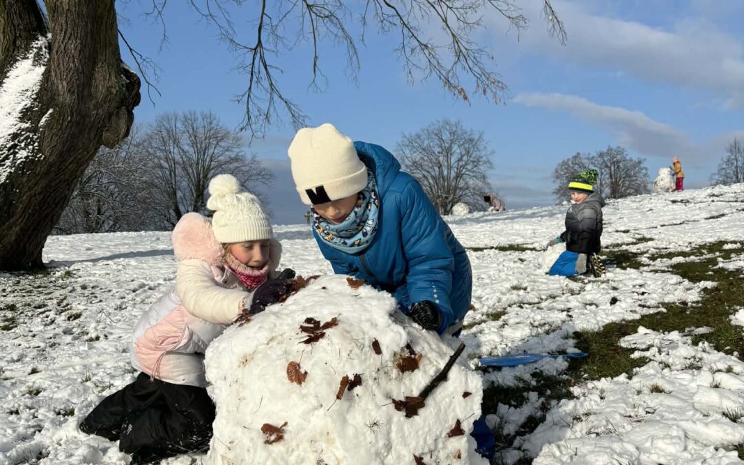 Sněhové radovánky